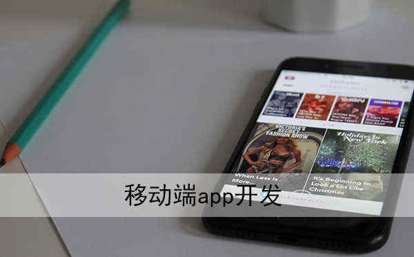 城管app開發(fā)_1