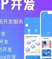 企業在開發APP應用之前必想的5個因素
