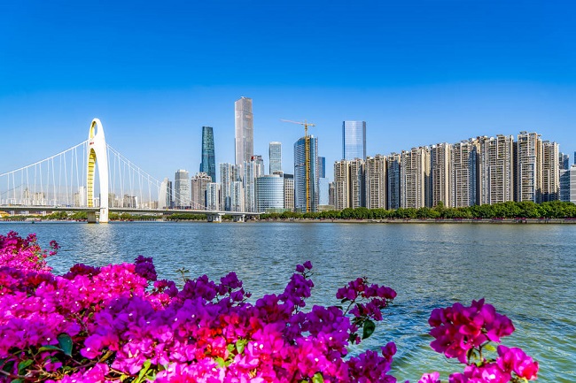 廣州軟件開發公司聚集在哪兒?